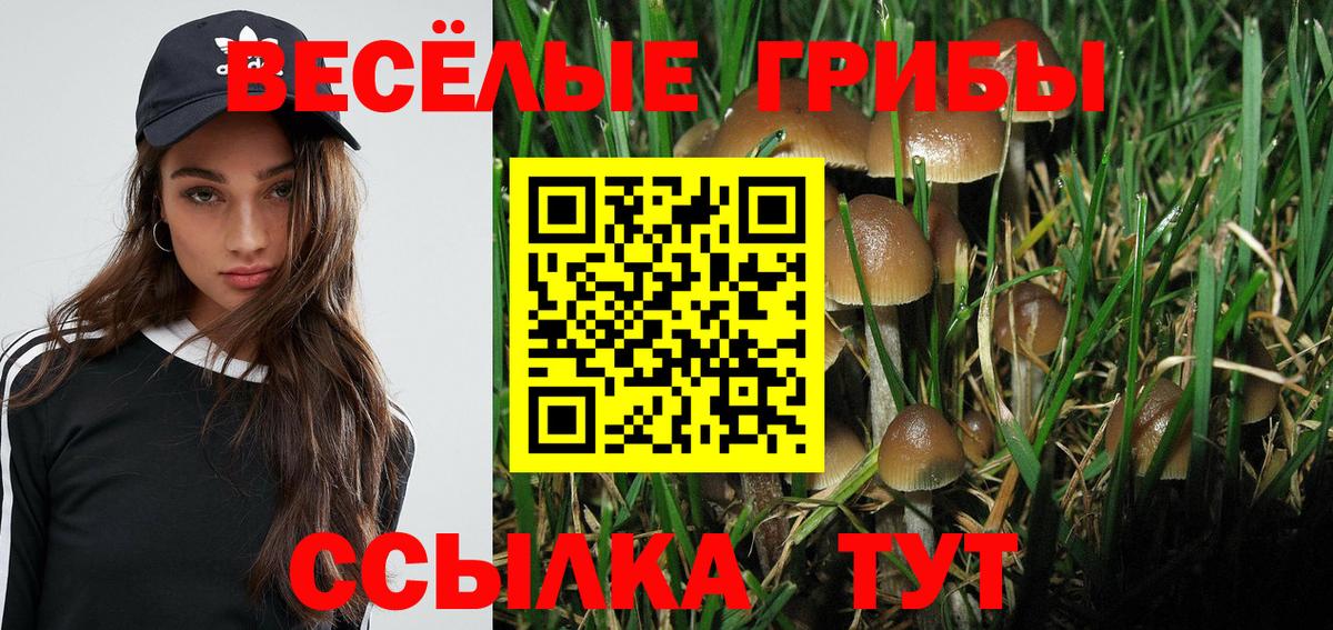 Краснознаменск  Псилоцибиновые грибы мицелий  Вход с VPN 